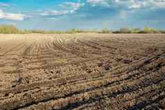 土壤耕种农田轮标志着场