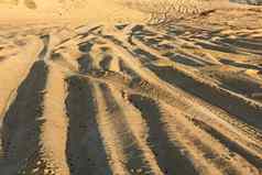 贫瘠的沙漠景观车辆跟踪沙子沙丘