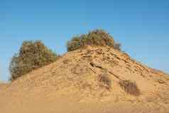 贫瘠的沙漠景观热气候沙子沙丘
