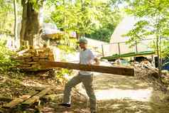 建筑木材料房子过程建筑木房子建设框架房子木材建设网站概念出售木材建设出售木材