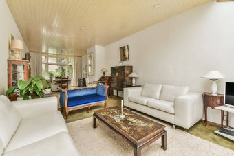舒适的沙发垫子光墙装饰现代爱的房间天井通过