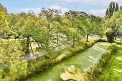 河运行郁郁葱葱的绿色公园树