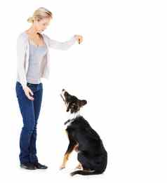 女人狗培训工作室奖励学习问候微笑白色背景教练教学宠物动物朋友焦点爱护理孤立的食物
