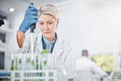 科学家女人实验室测试管植物研究分析叶子生态高级科学专家玻璃健康研究植物制药公司医学可持续发展的医学