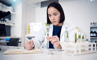植物科学测试管女人植物学家工作科学突破实验室实验室植物学生态实验Herbal医学创新植物