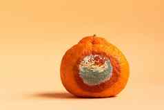 发霉的橙色藤条发霉的水果模具霉覆盖食物概念停止食物浪费一天复制空间