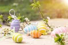 色彩斑斓的复活节鸡蛋春天开花花彩色的蛋假期边境
