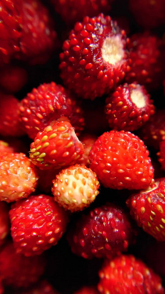 一些红色的成熟的<strong>草莓</strong>特写镜头