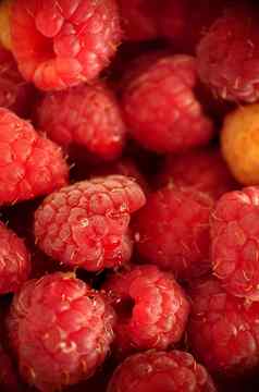 成熟的甜蜜的树莓丰富维生素特写镜头
