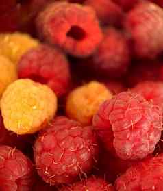 红色的黄色的树莓丰富维生素特写镜头