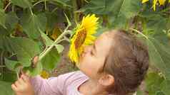 女孩嗅探黄色的向日葵夏天一天