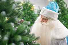 肖像俄罗斯圣诞老人老人人工圣诞节树商店