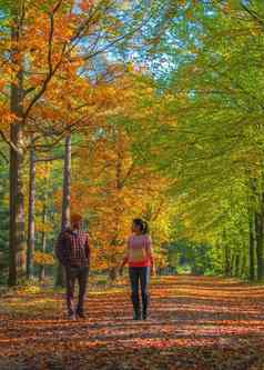 夫妇男人。女人中期年龄走森林秋天季节自然