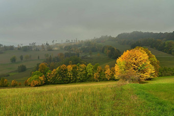 美丽的秋天景<strong>观色</strong>彩斑斓的树自然背景雾农村景<strong>观</strong>