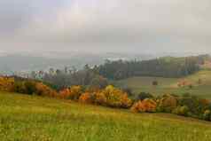 美丽的秋天景观色彩斑斓的树自然背景雾农村景观