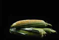 生玉米玉米穗轴玉米黑色的背景收获概念玉米绿色叶子说谎桩视图角