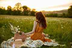 女人美丽的长整洁头发坐在橙色衣服洋甘菊场日落