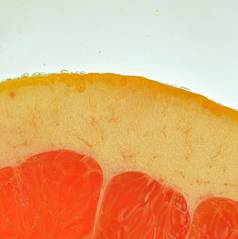 特写镜头新鲜的葡萄柚片白色背景片红色的葡萄柚闪闪发光的水白色背景特写镜头水平图像