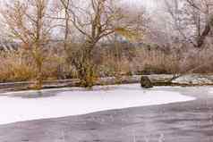 湖冻冰雪草树海岸