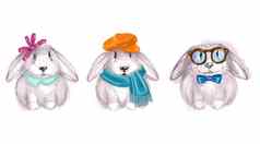 可爱的兔子集眼镜围巾弓艺术插图孤立的白色