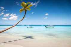 热带天堂沙子海滩加勒比saona岛高峰卡纳多米尼加