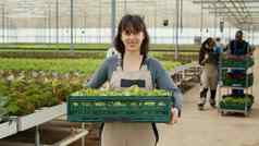 肖像高加索人工人温室持有箱生菜多样化的农民管理在线订单