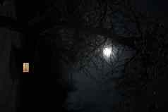 景观房子晚上黑暗天空完整的月亮令人毛骨悚然的景观房子晚上