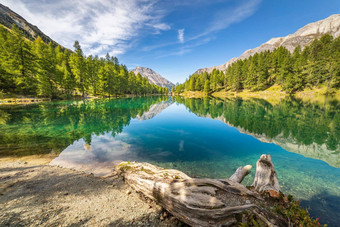 高山湖palpuogna阿尔布拉通过格劳宾登阿尔卑斯山脉格里斯瑞士