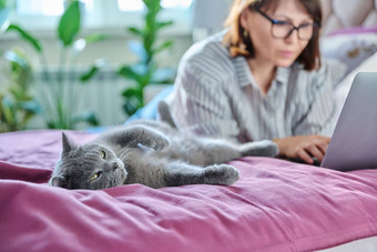 放松说谎灰色猫首页床上女人移动PC背景