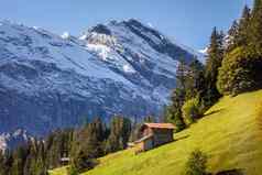 冰雪覆盖伯恩瑞士阿尔卑斯山脉高山农场瑞士