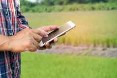 农民数字移动电话收集报告分析数据大米农业农场聪明的农业概念