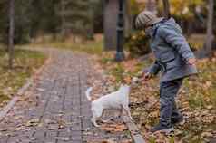 高加索人男孩玩狗走秋天公园