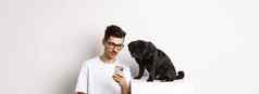 年轻的男人。显示照片智能手机可爱的狗宠物老板哈巴狗盯着移动电话白色背景