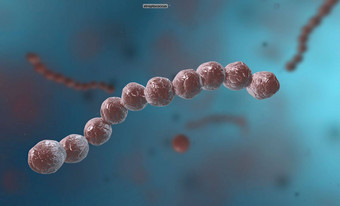 螺旋藻细菌变形菌门门螺旋状细胞形态