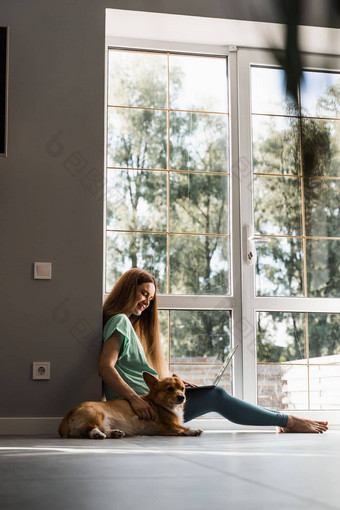 女孩专家移动PC威尔士矮脚狗狗坐着地板上工作在线有创意的图形设计师女孩坐工作项目生活方式威尔士威尔士矮脚狗彭布罗克