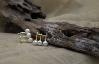金珠宝设置金珠宝时尚摄影金耳环白色珍珠时尚摄影耳环提出了木材