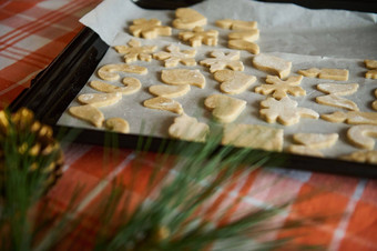 视图模糊枞树形针金松视锥细胞烘焙表雕刻模具姜饼面团