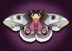 神奇的蝴蝶蛾明亮的插图艺术