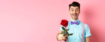 情人节一天浪漫概念快乐微笑男人。给红色的玫瑰浪漫的日期站粉红色的背景蝴蝶结衬衫