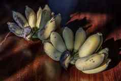 群夫人手指香蕉热带水果自然产品木表格