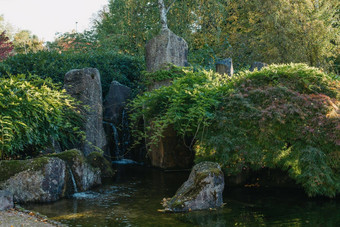 美丽的平静场景瀑布春天日本花园日本秋天图像美丽的日本花园池塘红色的叶子池塘日本花园