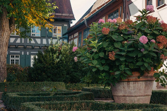 传统的德国房子不错的花园秋天花城市公园Baden-Wuerttemberg德国欧洲秋天公园房子布什grenery