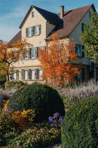 房子不错的花园秋天花城市公园Baden-Wuerttemberg德国欧洲秋天公园房子布什grenery