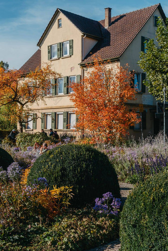 房子不错的花园秋天花城市公园Baden-Wuerttemberg德国欧洲秋天公园房子布什grenery