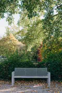 白色公园板凳上石头墙绿色叶子艾薇安静的环境灰色乡村木板凳上艾薇叶子黑暗背景大叶子太阳灯阴影板凳上公园