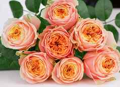 花束粉红色的橙色新鲜的玫瑰关闭视图