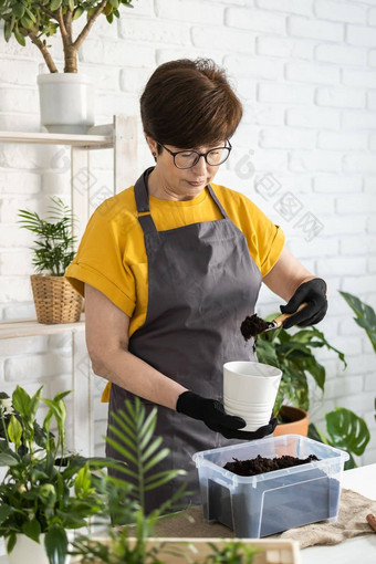 春天室内植物护理报告室内植物醒着的室内植物春天中间岁的女人移植植物能首页园丁移植植物Spathiphyllum