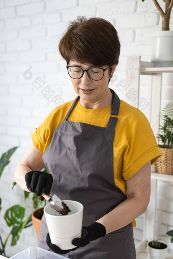 春天室内植物护理报告室内植物醒着的室内植物春天中间岁的女人移植植物能首页园丁移植植物Spathiphyllum