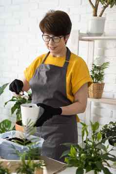 春天室内植物护理报告室内植物醒着的室内植物春天中间岁的女人移植植物能首页园丁移植植物Spathiphyllum