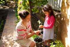 女孩帮助妈妈。植物幼苗发芽根播种种植季节早期春天